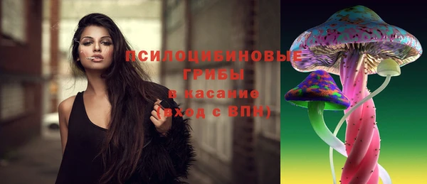 2c-b Пестово